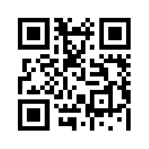 Www9393dd.com QR code