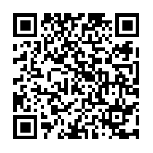 Wwwbankruptcydischargedsettlement.com QR code