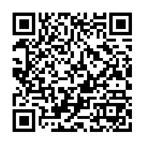 Wxb-contract.oss-cn-shenzhen.aliyuncs.com QR code