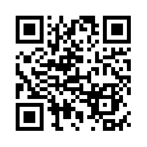 Wyeth-ayerst-dubai.com QR code