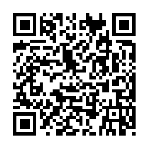 Wyomingmuseumofmilitaryvehicles.com QR code