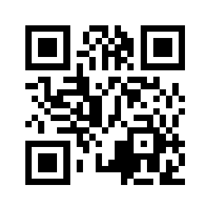 Wz53.net QR code