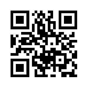 Wzzz2025.com QR code