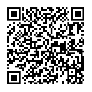 X1.servers.nat-traversal.softether-network.net QR code