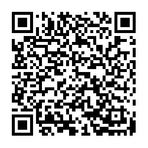 X1.x4.servers.nat-traversal.softether-network.net QR code