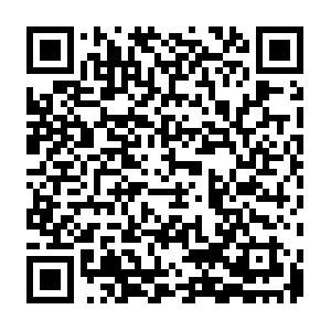 X1.x6.servers.nat-traversal.softether-network.net QR code