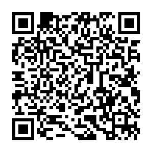 X3.dev.servers.nat-traversal.softether-network.net QR code