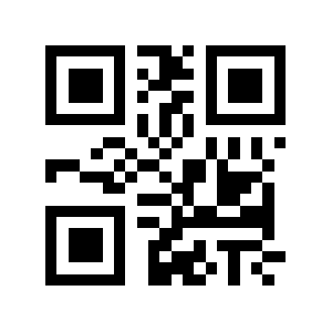 Xbig.us QR code