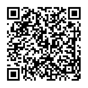 Xiaomi.net.getcacheddhcpresultsforcurrentconfig QR code