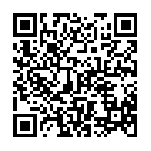 Xn--031-8081-1788-2f55cj28ajm0bx32c.net QR code