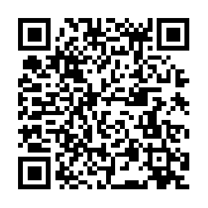 Xn--12caian6gc9ax8ca3f9dvabym0g4hqe5d.com QR code