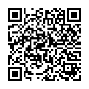 Xn--12cgq7ckc8cgecw2a2a6bzc1acfd50a.com QR code