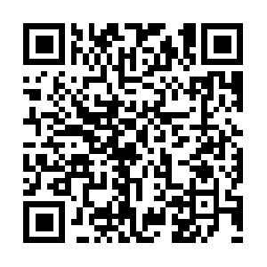 Xn--15q53ab9g4f74ub1c83az20fpd7b06svnz.net QR code