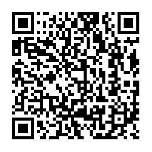 Xn--2013-853crjpnpe8gz501akxb76am5wz8ztfs713cm97cqx5b.com QR code