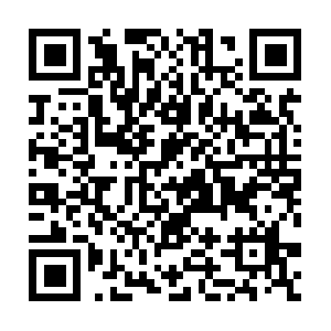 Xn--2016-fm4c8bay2iqg1c8g4a3hz988ejgua.net QR code