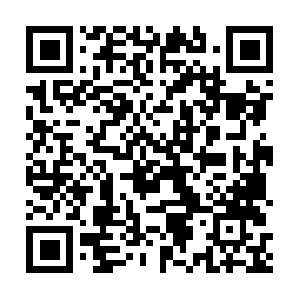 Xn--2016-z63cmda43a341vj0cpt1di23j.net QR code