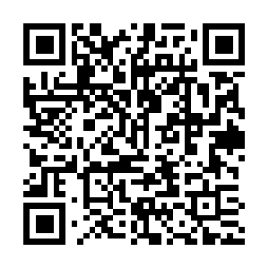 Xn--2020-pl4cg1a2c0hc7p3j7dwfz960cz2wd.com QR code