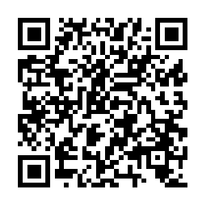 Xn--240-ii4bk0k7buh4fna9hriq234b2dvc.biz QR code