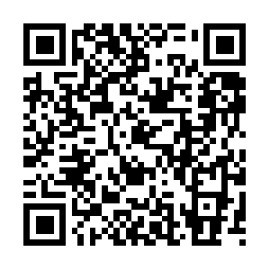 Xn--28j6ajci9a7opgsa3d18a4ewa2554l.com QR code