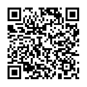 Xn--2ck9csa1316af3aqg304c86eom7e.biz QR code