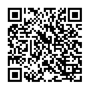 Xn--36qsoo4jh4jc6hmso1zkgct67cnpofm1b.net QR code