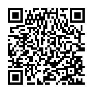 Xn--3kqy5ae9dr01au6b1d531rosv2rn48b.net QR code