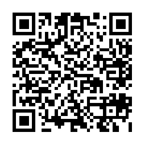 Xn--3l2bt3o34a26j9snftav3fca96veyo.net QR code