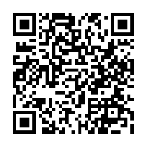 Xn--54qs7bp0nr4ai7cjtzz5p5y1dc2k.net QR code