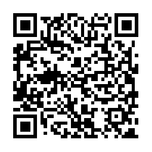 Xn--55qx5d3wd11dtwc0hz1suws19xqkjf16d95wa.biz QR code