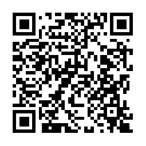 Xn--6oqv8v7qc40bxzcr19bfnh680ay4ah53k.net QR code