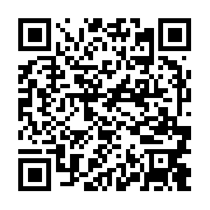 Xn--9ckaldc9ld2ee7793f5ds3m4f276dqpb.net QR code