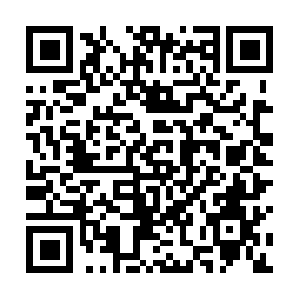 Xn--anamneseefotobiomodulao-s7b3h.com QR code