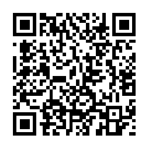 Xn--b9j4d5dpa9dxa5gsa2191go6rgj5f.net QR code