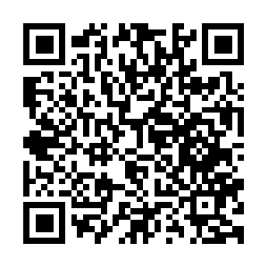 Xn--bckg1dydb5ds9g9bs9ff2jy415ikdkc.net QR code