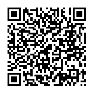 Xn--carnaval-790ml39cypgp07b68fez8cz8oc06f.com QR code