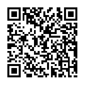 Xn--detenerlafundacindesangrado-qwc.org QR code