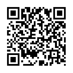 Xn--diseo-paginas-web-ixb.biz QR code