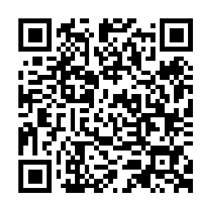 Xn--diseodelogotiposenculiacan-krc.com QR code