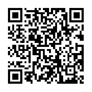 Xn--dpqw8f9za02l9p0ahrl56to9wots.com QR code