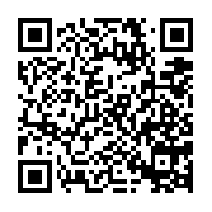 Xn--eck6aag9dtfbm2nzac3064hl26b16wg.biz QR code