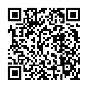 Xn--eckaa8cn1vqa2h4g7175a6jxakjmow0e9k8d.net QR code