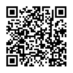 Xn--eckvb3a9a5dtb1bo7dvd2ep176bp74a8s7a.biz QR code