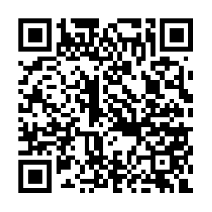 Xn--f9j3a2c4b5mphzex273a7s3apd1d.net QR code