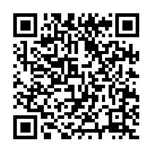 Xn--fiq53l6wc97cfrm916ageoz0ap20e.com QR code