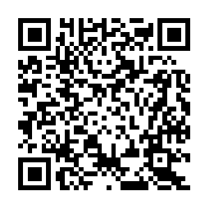 Xn--fiqq16a5qcq4d4s3afqbmvfysmrikv0xc2f.net QR code