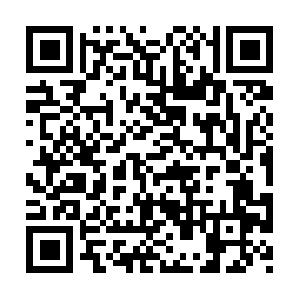 Xn--fiqs8a85nzzia819jf87afygbu1d.net QR code