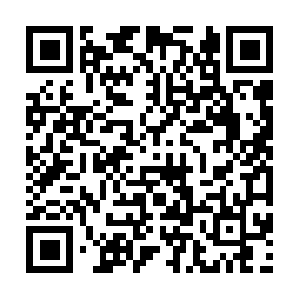 Xn--fjqq9edvh1tc8vbwx1eo11aa3835b.com QR code