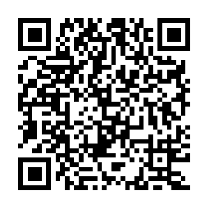 Xn--fx-mh4aau8gta5b1mu983ao9d202r.biz QR code