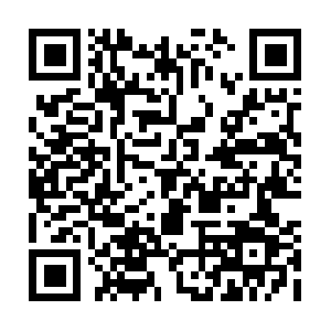 Xn--gmqr03axzbs9a80pyskf4s7rpfjz.net QR code