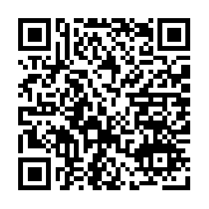 Xn--hemlsasinternationellaflagga-51c.net QR code